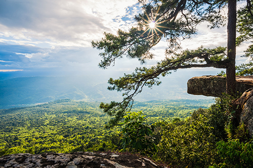 https://mdw-travel-data-us-east-1.s3.amazonaws.com/img/country/Thailand/Phu-Kradueng-National-Park/img_01.jpg
