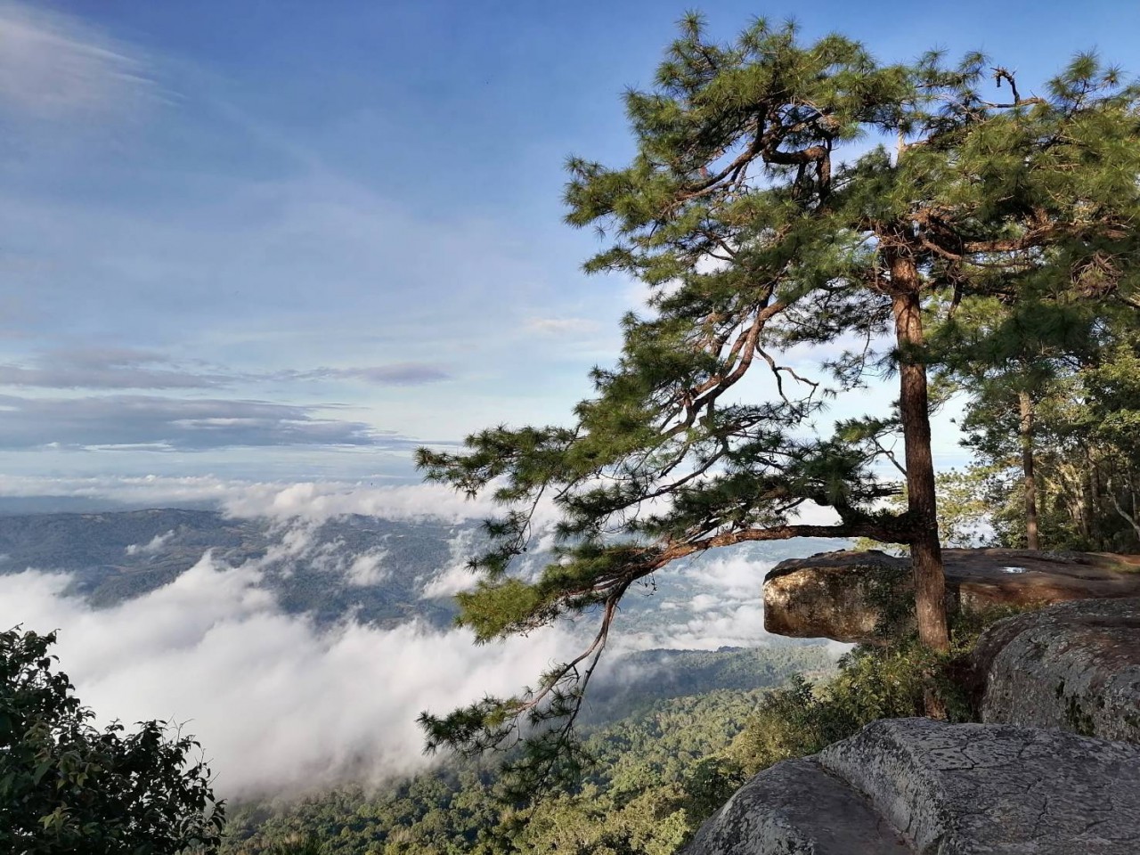 https://mdw-travel-data-us-east-1.s3.amazonaws.com/img/country/Thailand/Phu-Kradueng-National-Park/img_02.jpg
