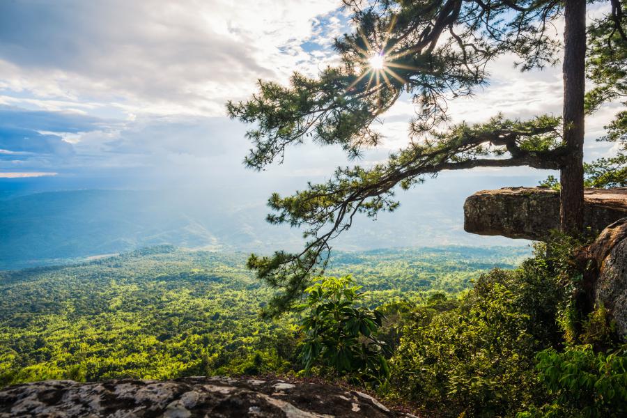 https://mdw-travel-data-us-east-1.s3.amazonaws.com/img/country/Thailand/Phu-Pha-Lom-National-Park/img_02.jpg