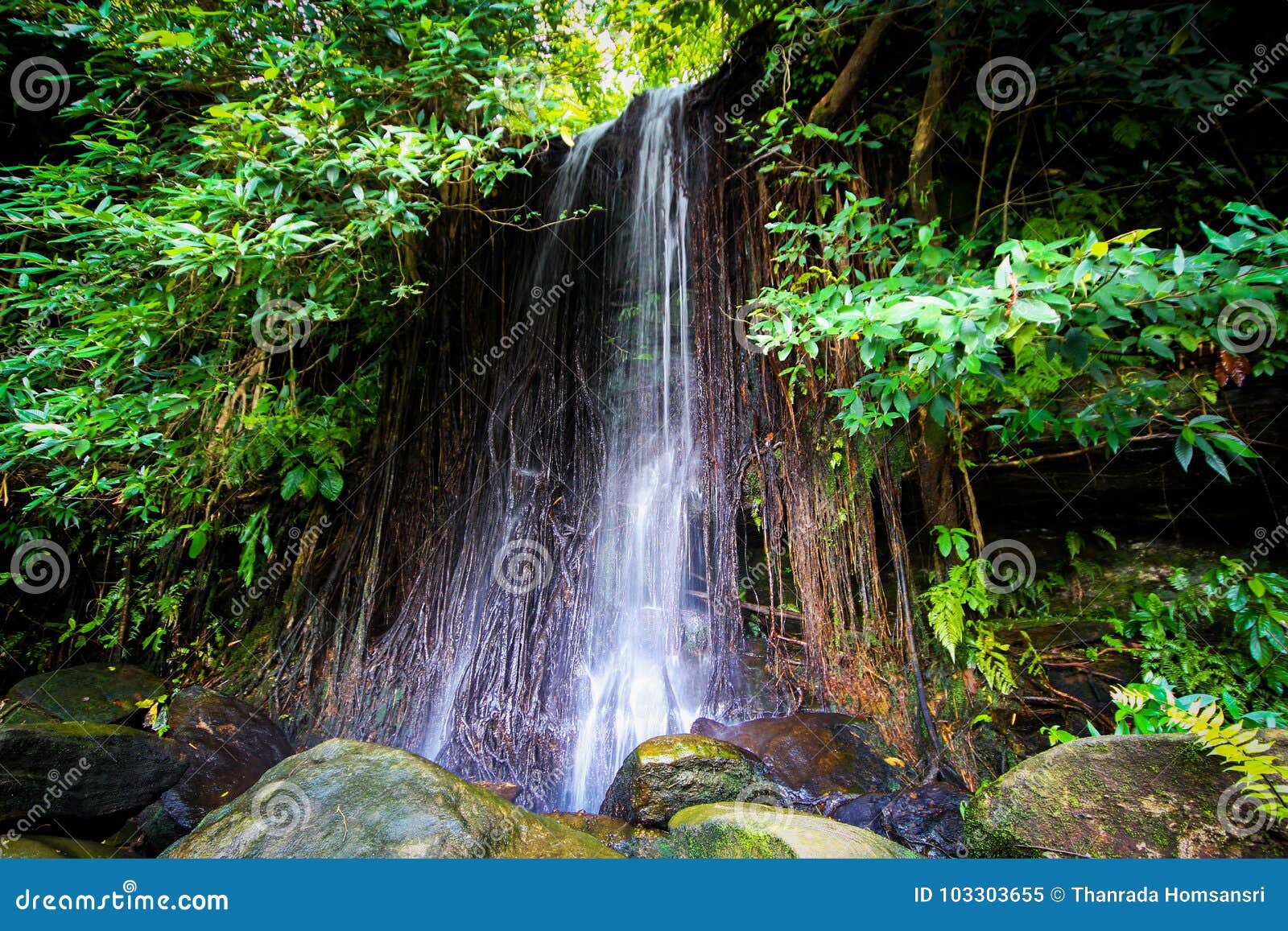 https://mdw-travel-data-us-east-1.s3.amazonaws.com/img/country/Thailand/Phu-Pha-Yon-National-Park/img_03.jpg