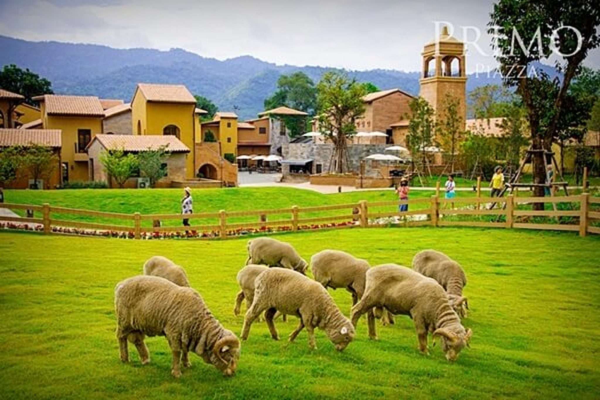 https://mdw-travel-data-us-east-1.s3.amazonaws.com/img/country/Thailand/Primo-Piazza/img_01.jpg