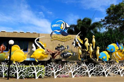 https://mdw-travel-data-us-east-1.s3.amazonaws.com/img/country/Thailand/Rayong-Aquarium/img_02.jpg