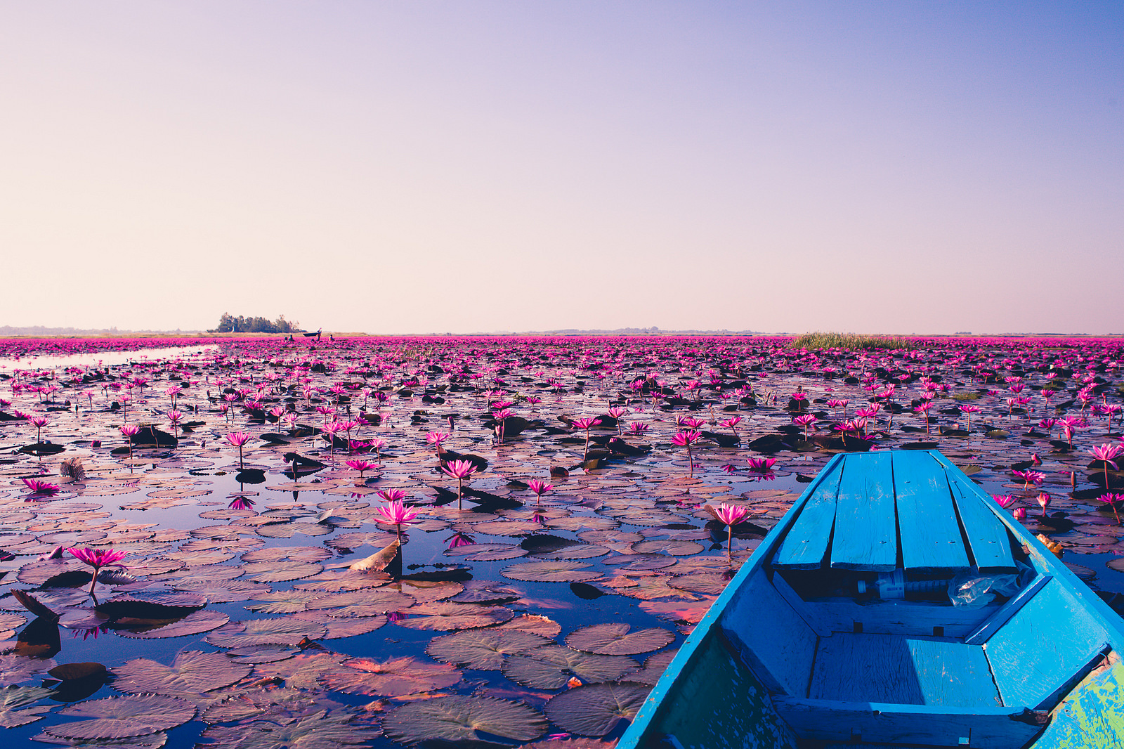 https://mdw-travel-data-us-east-1.s3.amazonaws.com/img/country/Thailand/Red-Lotus-Sea-Talay-Bua-Daeng/img_00.jpg