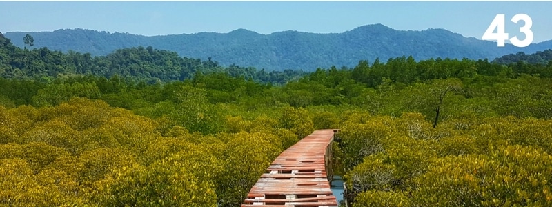https://mdw-travel-data-us-east-1.s3.amazonaws.com/img/country/Thailand/Salakphet-Mangrove-Walkway/img_01.jpg