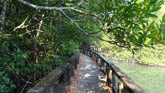 https://mdw-travel-data-us-east-1.s3.amazonaws.com/img/country/Thailand/Salakphet-Mangrove-Walkway/img_02.jpg