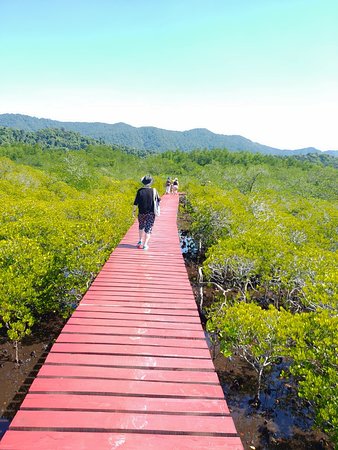 https://mdw-travel-data-us-east-1.s3.amazonaws.com/img/country/Thailand/Salakphet-Mangrove-Walkway/img_03.jpg