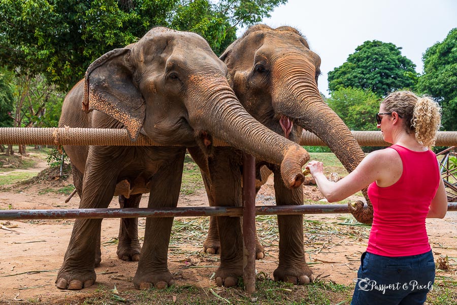 https://mdw-travel-data-us-east-1.s3.amazonaws.com/img/country/Thailand/Samui-Elephant-Sanctuary/img_00.jpg
