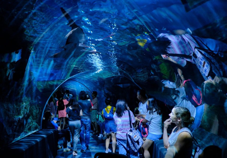 https://mdw-travel-data-us-east-1.s3.amazonaws.com/img/country/Thailand/Sea-Life-Bangkok-Ocean-World/img_03.jpg