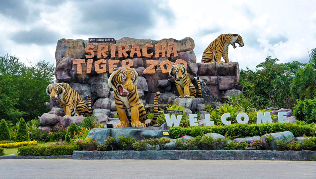 https://mdw-travel-data-us-east-1.s3.amazonaws.com/img/country/Thailand/Sriracha-Tiger-Zoo/img_00.jpg