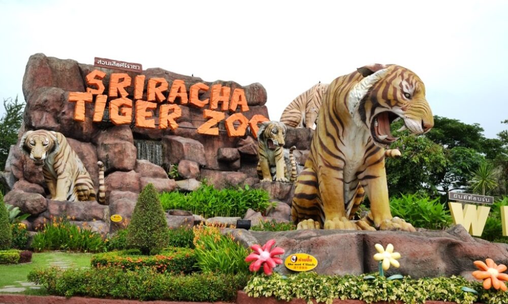 https://mdw-travel-data-us-east-1.s3.amazonaws.com/img/country/Thailand/Sriracha-Tiger-Zoo/img_01.jpg