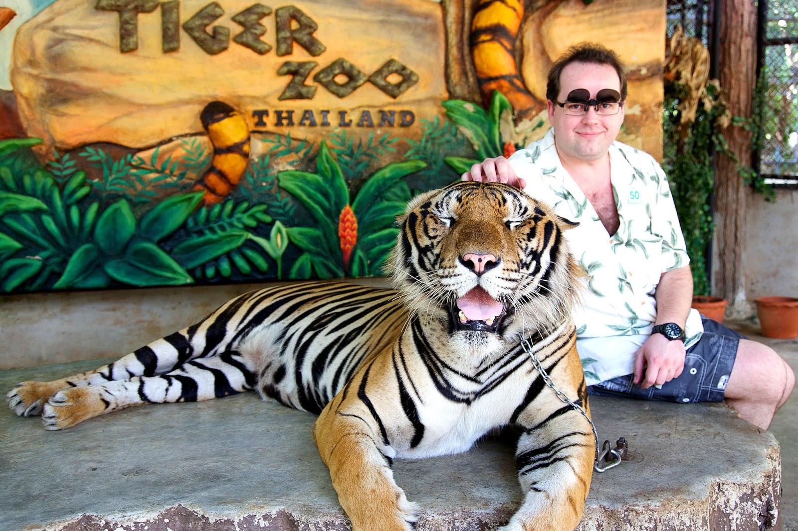 https://mdw-travel-data-us-east-1.s3.amazonaws.com/img/country/Thailand/Sriracha-Tiger-Zoo/img_02.jpg