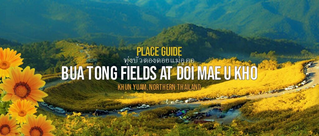 https://mdw-travel-data-us-east-1.s3.amazonaws.com/img/country/Thailand/Thung-Bua-Tong/img_03.jpg