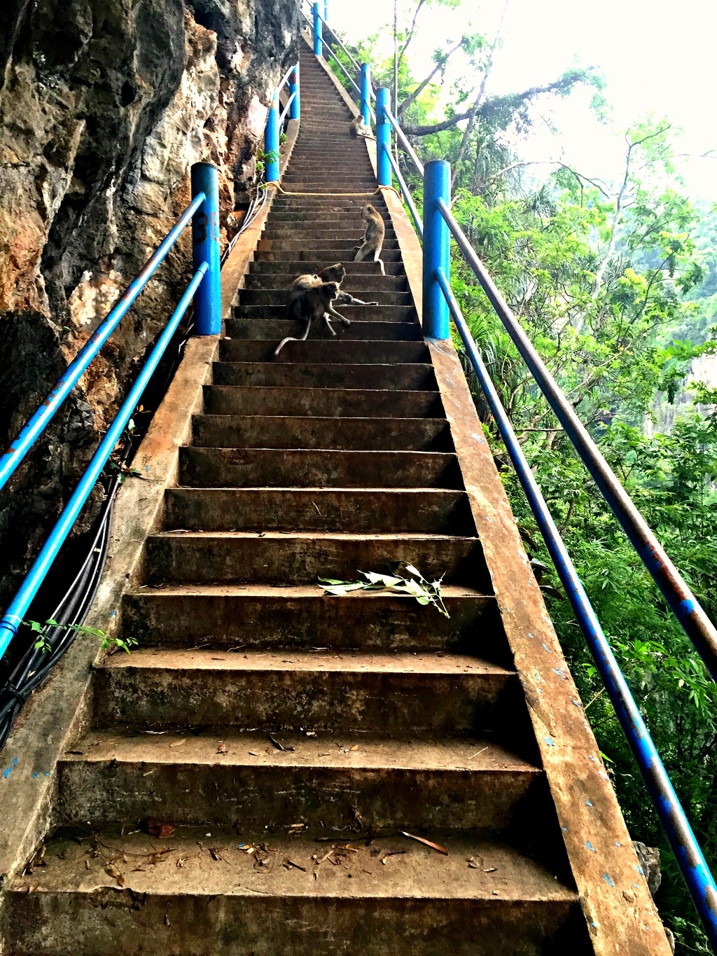 https://mdw-travel-data-us-east-1.s3.amazonaws.com/img/country/Thailand/Tiger-Cave-Temple/img_05.jpg