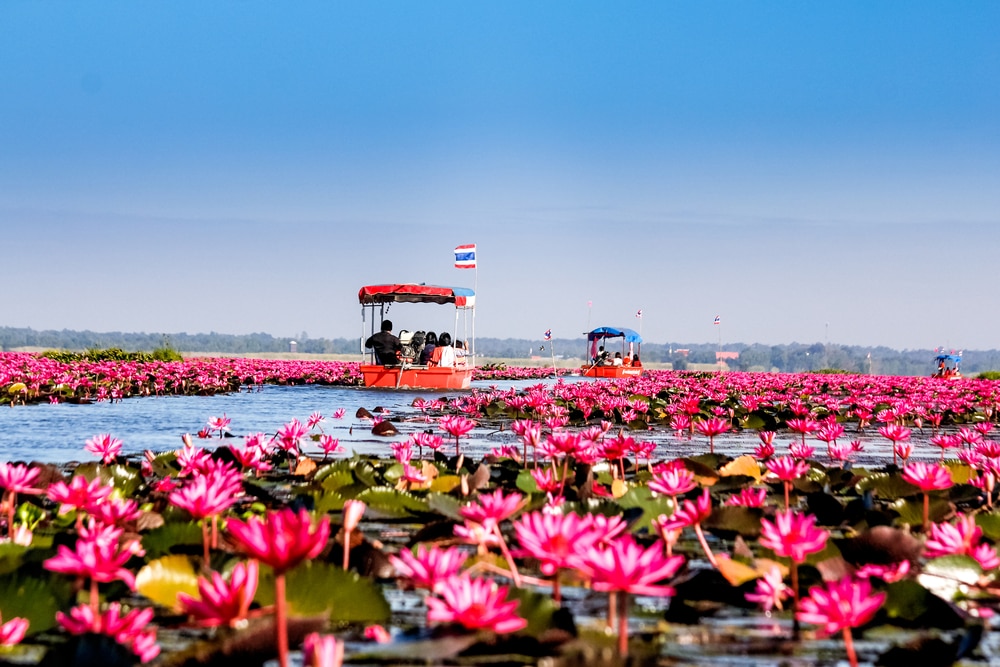 https://mdw-travel-data-us-east-1.s3.amazonaws.com/img/country/Thailand/Udon-Thani-Museum/img_03.jpg