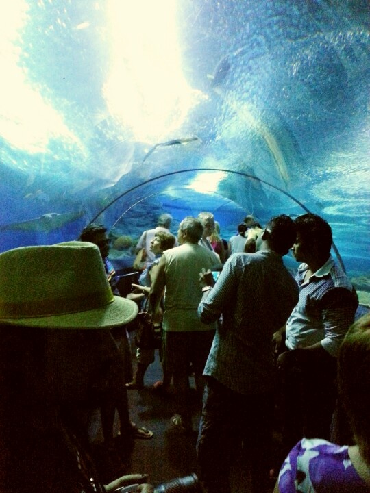 https://mdw-travel-data-us-east-1.s3.amazonaws.com/img/country/Thailand/Underwater-World-Pattaya/img_03.jpg
