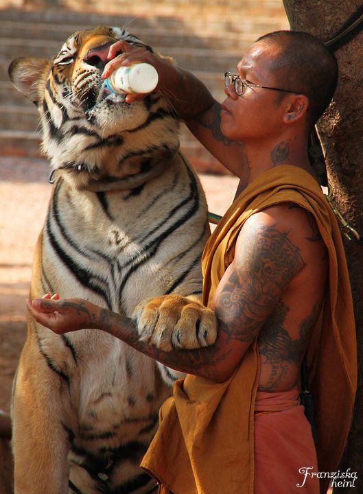 https://mdw-travel-data-us-east-1.s3.amazonaws.com/img/country/Thailand/Wat-Pa-Luangta-Bua-Yannasampanno/img_00.jpg