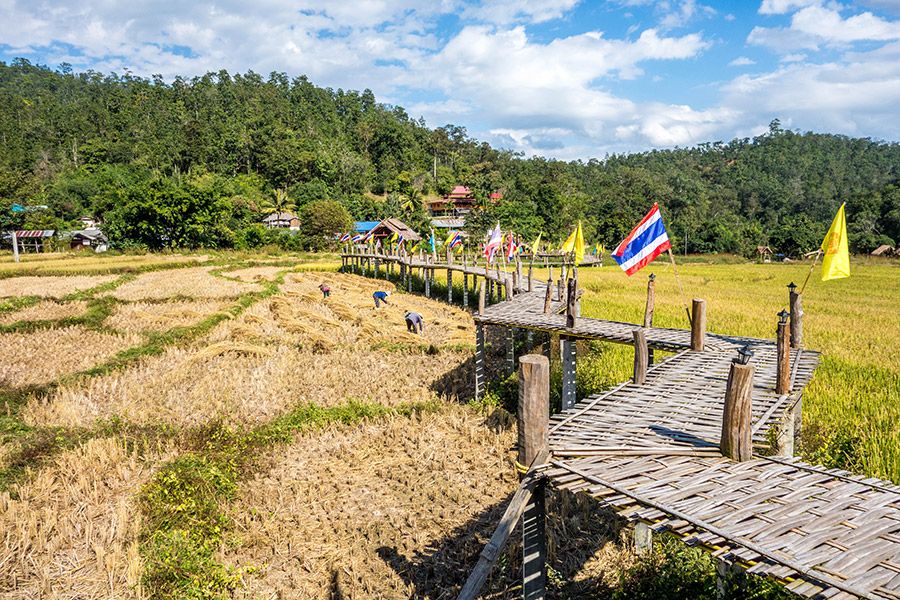 https://mdw-travel-data-us-east-1.s3.amazonaws.com/img/country/Thailand/Wat-Su-Thong-Pae/img_02.jpg