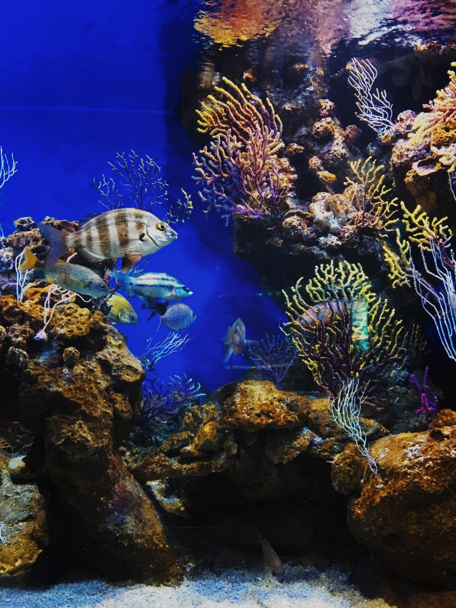 https://mdw-travel-data-us-east-1.s3.amazonaws.com/img/country/Turkey/Antalya-Aquarium/img_00.jpg