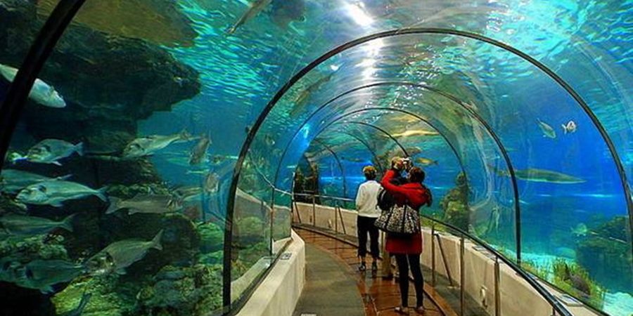 https://mdw-travel-data-us-east-1.s3.amazonaws.com/img/country/Turkey/Antalya-Aquarium/img_01.jpg