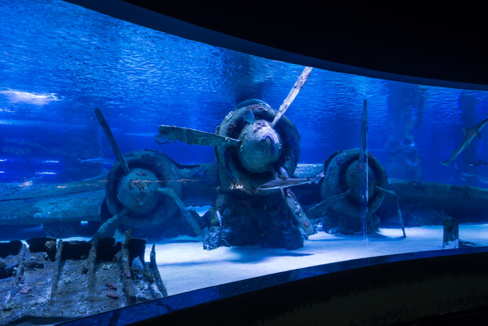 https://mdw-travel-data-us-east-1.s3.amazonaws.com/img/country/Turkey/Antalya-Aquarium/img_03.jpg