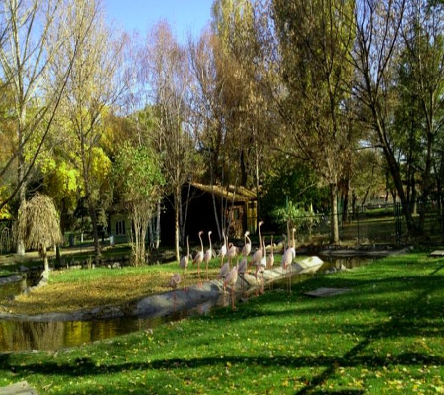 https://mdw-travel-data-us-east-1.s3.amazonaws.com/img/country/Turkey/Ataturk-Forest-Farm-and-Zoo/img_03.jpg