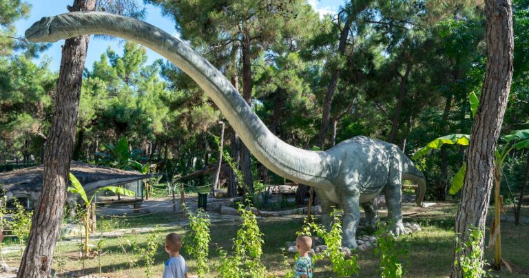 https://mdw-travel-data-us-east-1.s3.amazonaws.com/img/country/Turkey/DinoPark/img_01.jpg