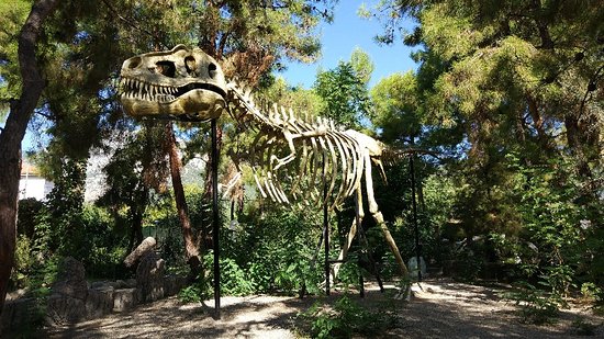 https://mdw-travel-data-us-east-1.s3.amazonaws.com/img/country/Turkey/DinoPark/img_03.jpg
