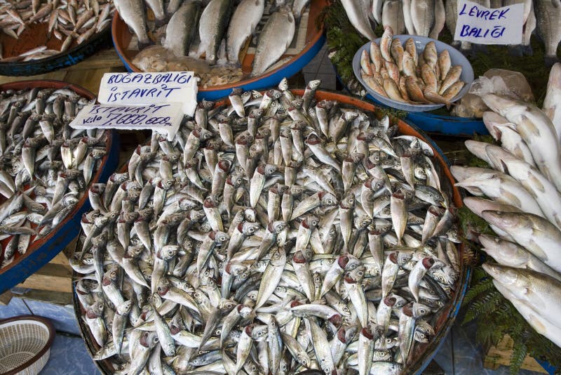 https://mdw-travel-data-us-east-1.s3.amazonaws.com/img/country/Turkey/Fish-Market/img_02.jpg
