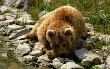 https://mdw-travel-data-us-east-1.s3.amazonaws.com/img/country/Turkey/Izmir-Wildlife-Park/img_00.jpg