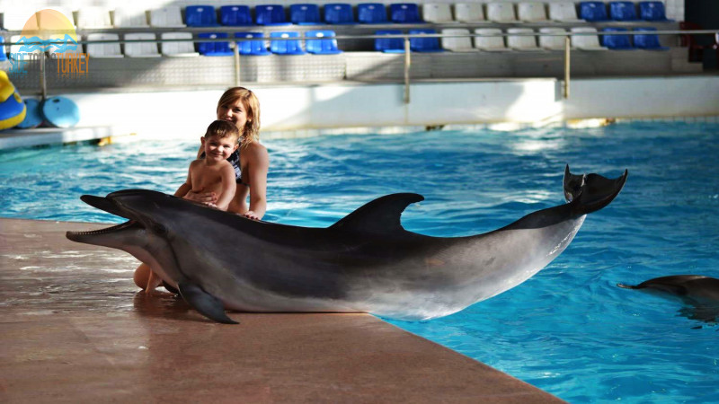 https://mdw-travel-data-us-east-1.s3.amazonaws.com/img/country/Turkey/Oasis-Water-Park-&-Dolphin-Park/img_03.jpg