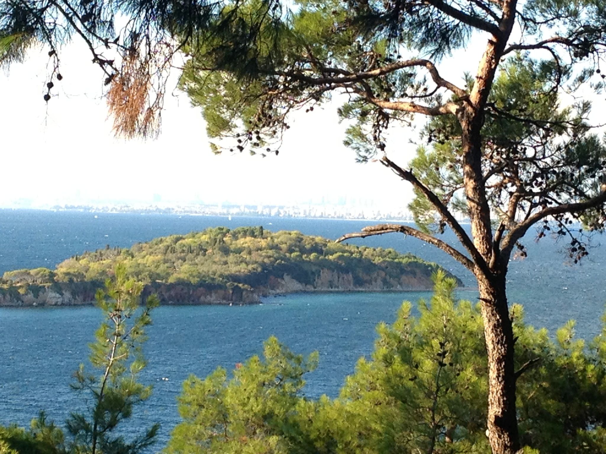 https://mdw-travel-data-us-east-1.s3.amazonaws.com/img/country/Turkey/Prince-Islands/img_03.jpg