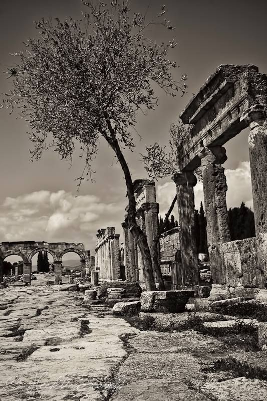 https://mdw-travel-data-us-east-1.s3.amazonaws.com/img/country/Turkey/Roman-Road/img_02.jpg