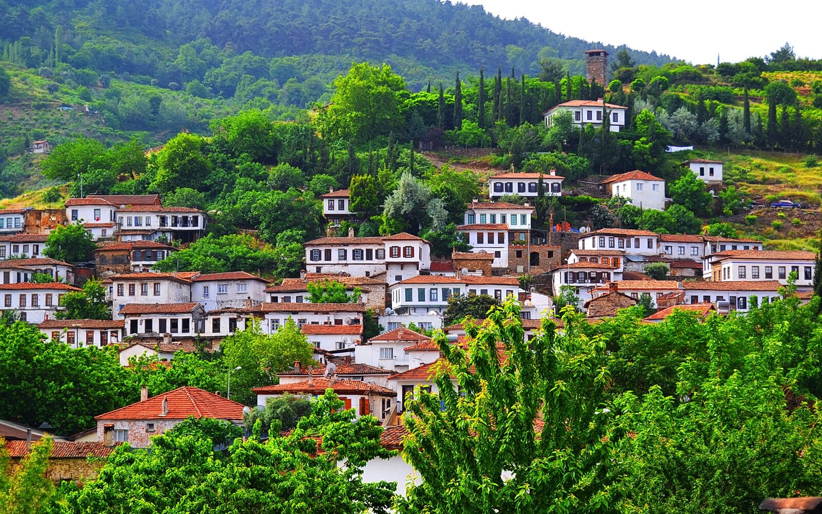 https://mdw-travel-data-us-east-1.s3.amazonaws.com/img/country/Turkey/Sirince/img_01.jpg