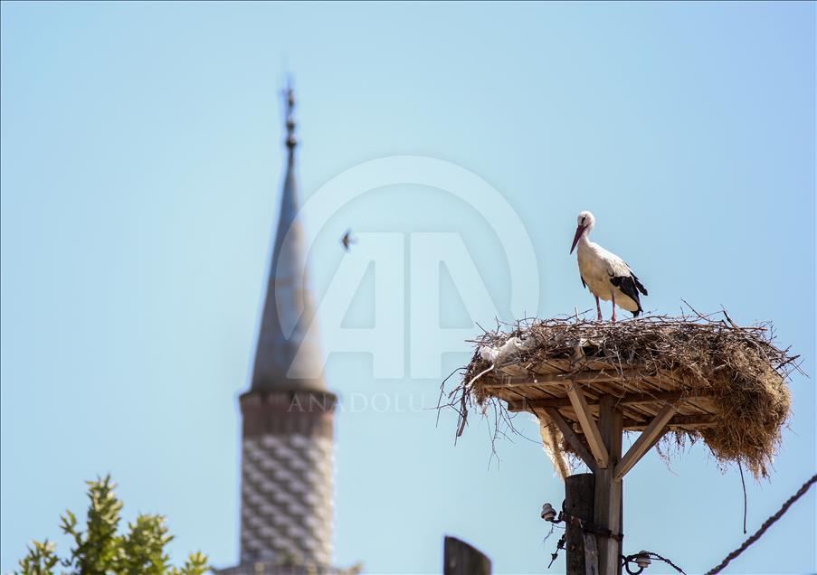 https://mdw-travel-data-us-east-1.s3.amazonaws.com/img/country/Turkey/Stork-Village/img_01.jpg