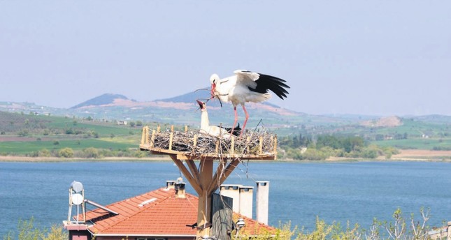 https://mdw-travel-data-us-east-1.s3.amazonaws.com/img/country/Turkey/Stork-Village/img_02.jpg