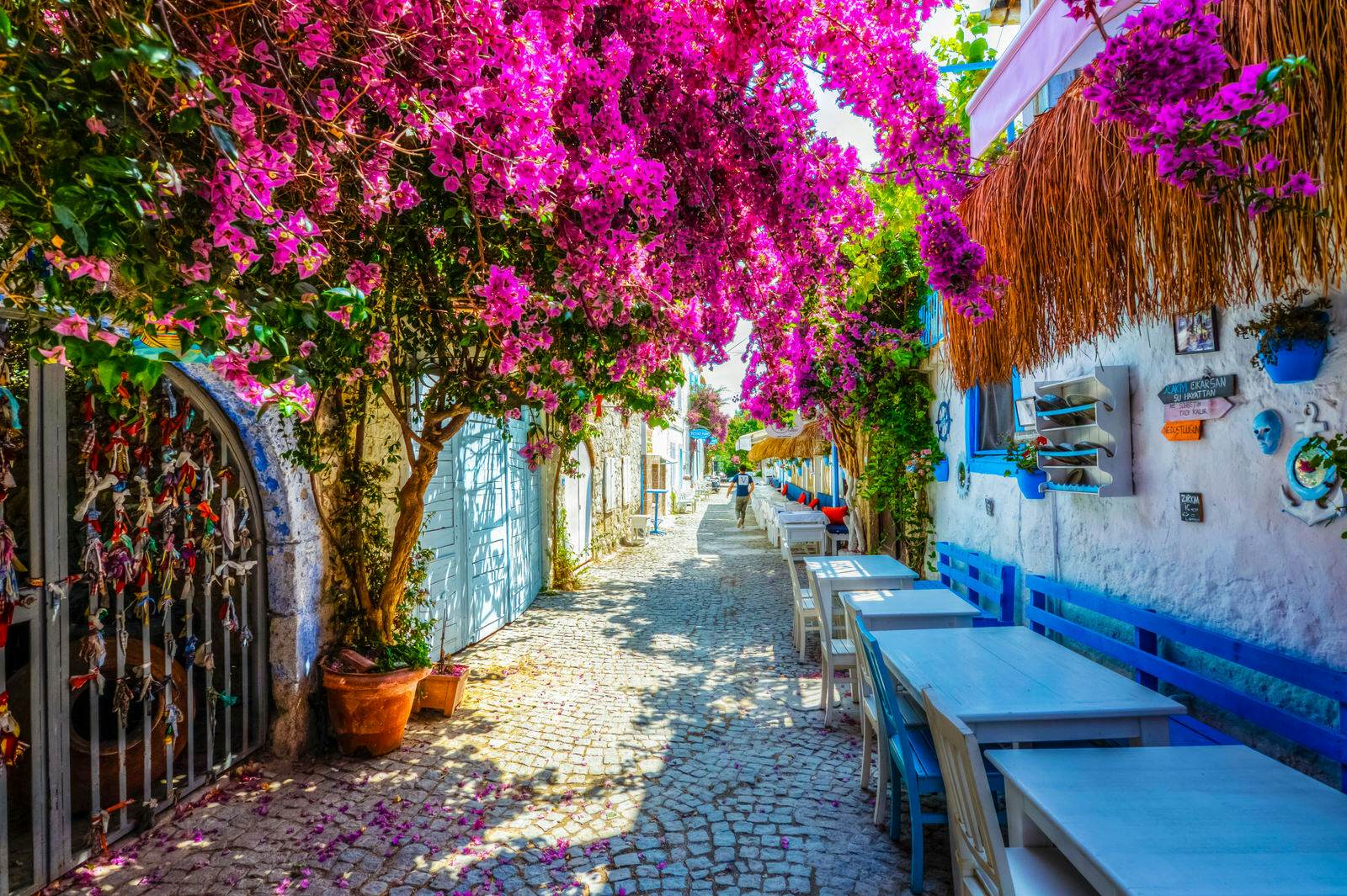 https://mdw-travel-data-us-east-1.s3.amazonaws.com/img/country/Turkey/Urla-Vineyards/img_02.jpg