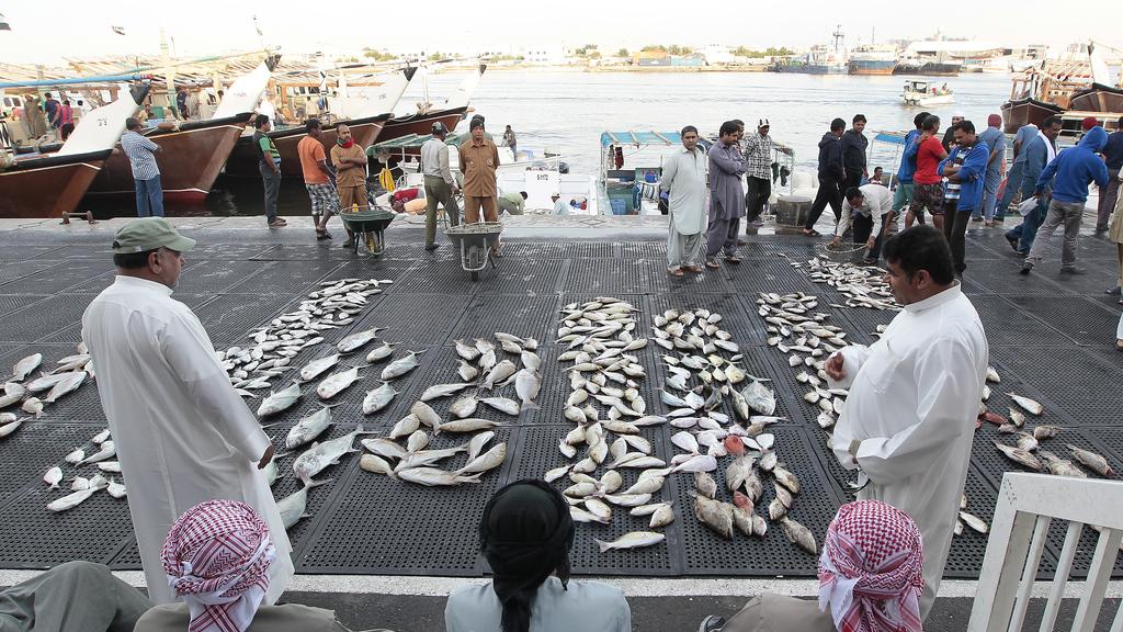https://mdw-travel-data-us-east-1.s3.amazonaws.com/img/country/United-Arab-Emirates/Ajman-City-Centre-Fish-Market/img_03.jpg