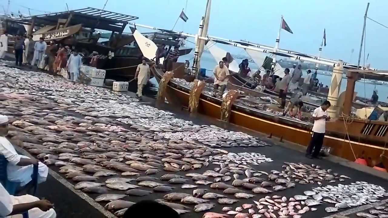 https://mdw-travel-data-us-east-1.s3.amazonaws.com/img/country/United-Arab-Emirates/Ajman-Fish-Market/img_00.jpg
