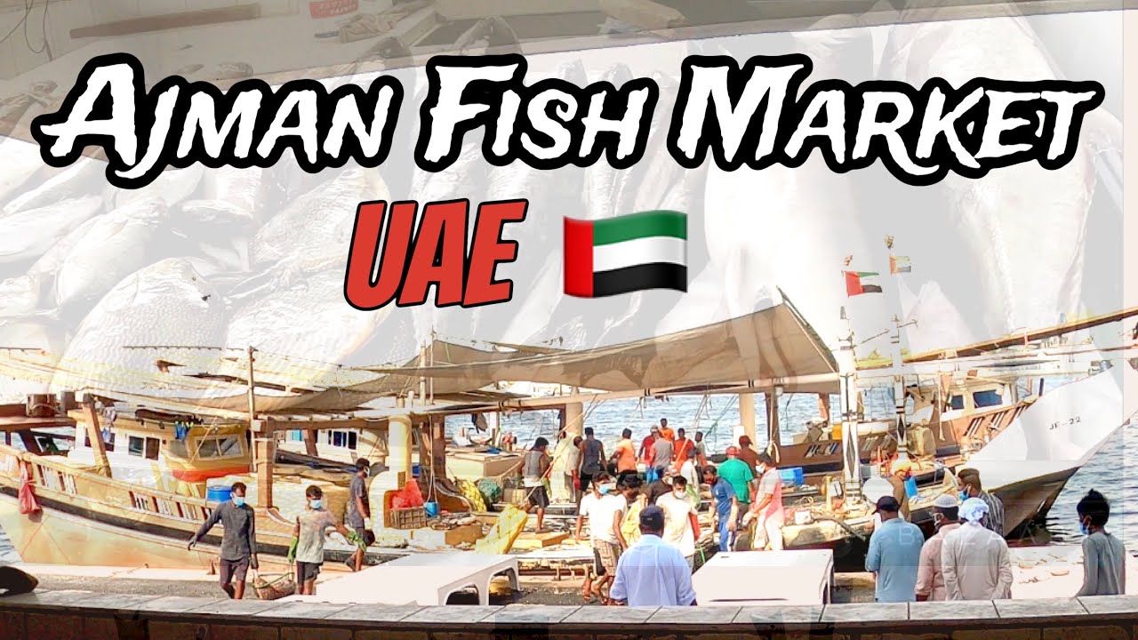 https://mdw-travel-data-us-east-1.s3.amazonaws.com/img/country/United-Arab-Emirates/Ajman-Fish-Market/img_02.jpg