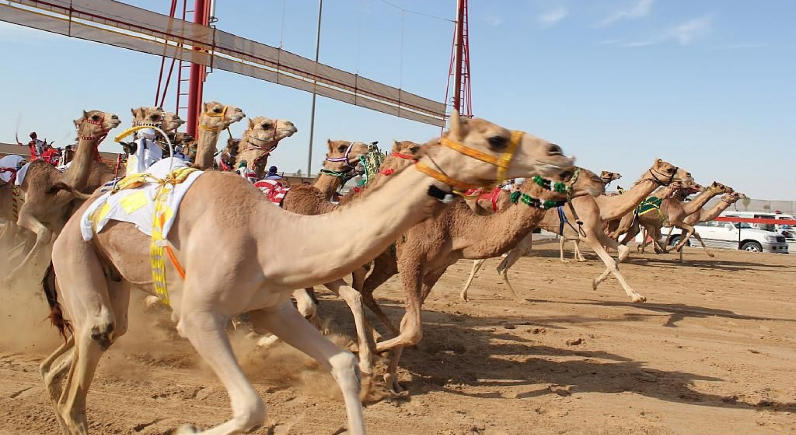 https://mdw-travel-data-us-east-1.s3.amazonaws.com/img/country/United-Arab-Emirates/Al-Ain-Camel-Souk/img_00.jpg