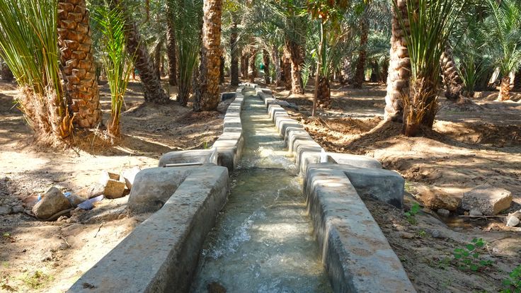 https://mdw-travel-data-us-east-1.s3.amazonaws.com/img/country/United-Arab-Emirates/Al-Ain-Oasis/img_03.jpg