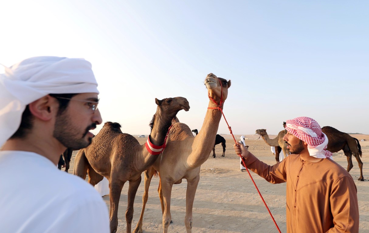 https://mdw-travel-data-us-east-1.s3.amazonaws.com/img/country/United-Arab-Emirates/Al-Dhafra-Festival/img_01.jpg