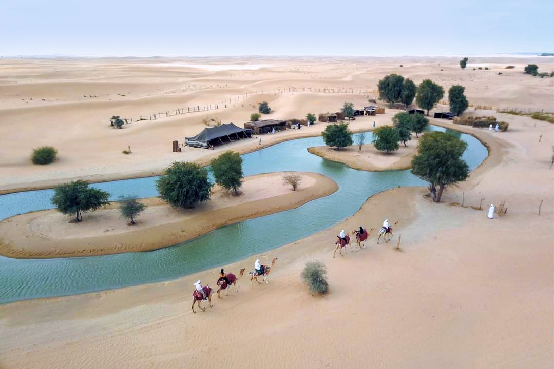 https://mdw-travel-data-us-east-1.s3.amazonaws.com/img/country/United-Arab-Emirates/Al-Marmoom-Desert-Conservation-Reserve/img_01.jpg