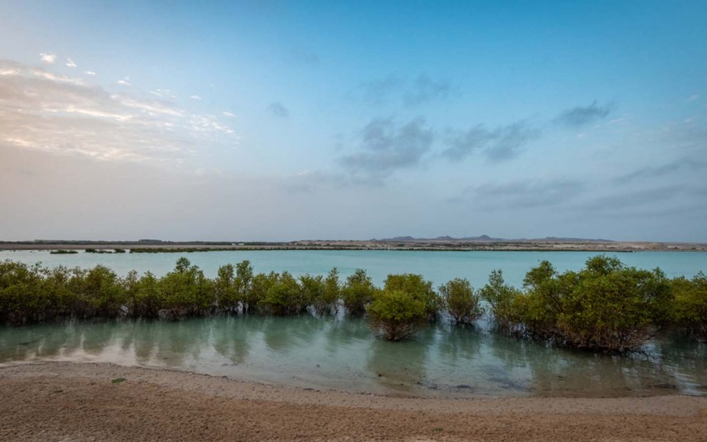 https://mdw-travel-data-us-east-1.s3.amazonaws.com/img/country/United-Arab-Emirates/Al-Rams-Mangrove-Forest/img_03.jpg