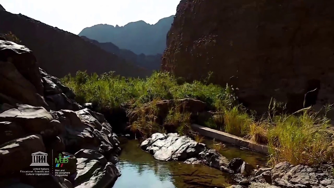 https://mdw-travel-data-us-east-1.s3.amazonaws.com/img/country/United-Arab-Emirates/Al-Wurayah-Falls/img_03.jpg