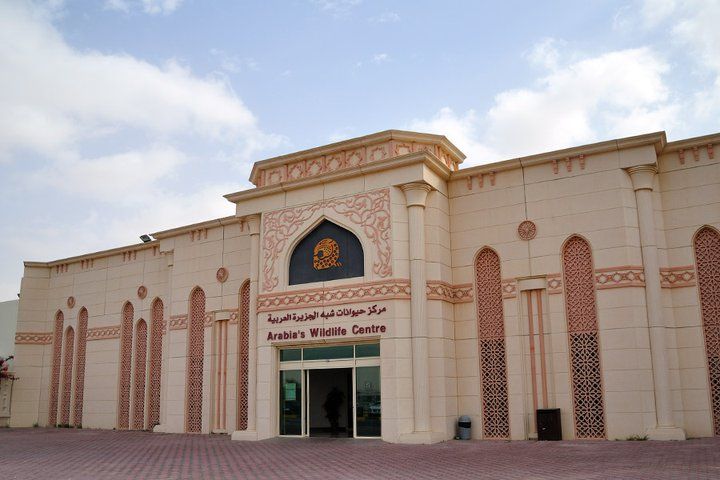 https://mdw-travel-data-us-east-1.s3.amazonaws.com/img/country/United-Arab-Emirates/Arabian-Wildlife-Center/img_03.jpg