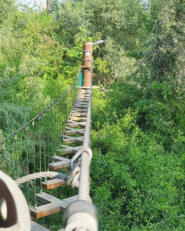 https://mdw-travel-data-us-east-1.s3.amazonaws.com/img/country/United-Arab-Emirates/Aventura-Parks/img_01.jpg