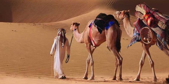 https://mdw-travel-data-us-east-1.s3.amazonaws.com/img/country/United-Arab-Emirates/Camel-Trekking-in-Liwa/img_02.jpg