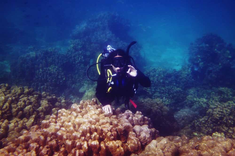 https://mdw-travel-data-us-east-1.s3.amazonaws.com/img/country/United-Arab-Emirates/Diving-in-Fujairah/img_00.jpg