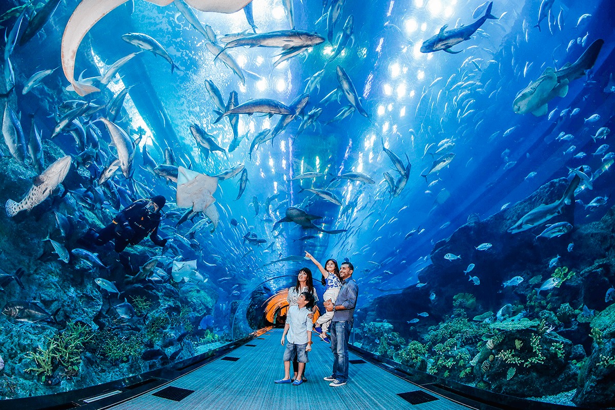 https://mdw-travel-data-us-east-1.s3.amazonaws.com/img/country/United-Arab-Emirates/Dubai-Aquarium-and-Underwater-Zoo/img_02.jpg